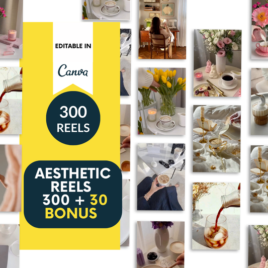 Reels Aesthetic Videos 300 + 30 bonus