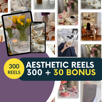 Reels Aesthetic Videos 300 + 30 bonus